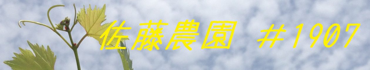 佐藤農園　＃1907